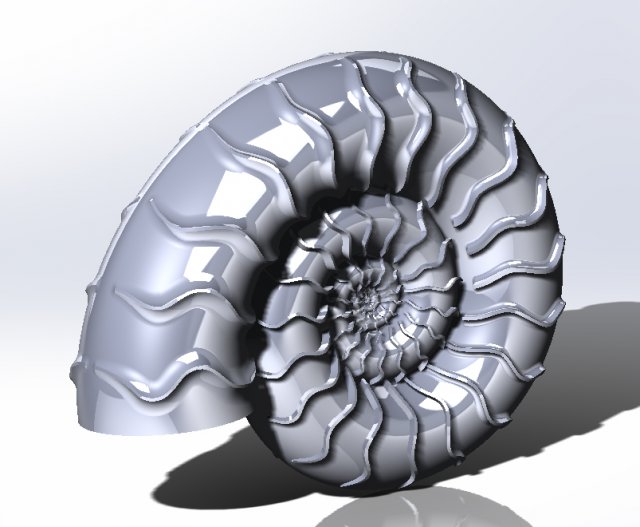 ammonit 3D Baskı Modeli .c4d .max .obj .3ds .fbx .stl .blend 