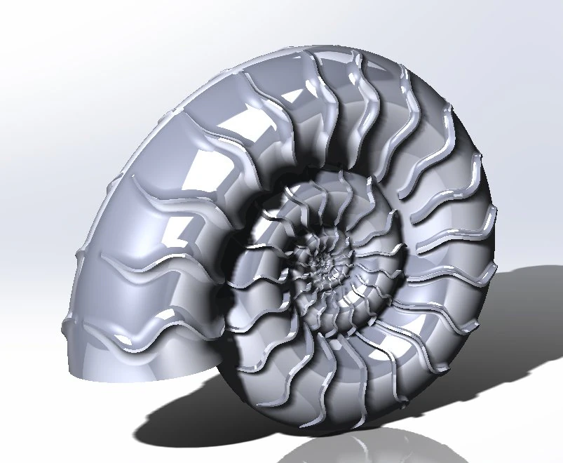 アンモナイト 3Dプリントモデル .c4d .max .obj .3ds .fbx .stl .blend 