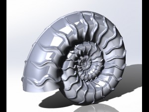 ammonit 3D Print Model