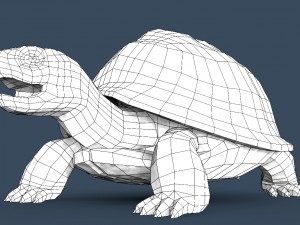 turtle mentos Modèle 3D