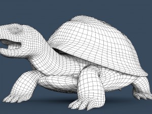 turtle mentos Modèle 3D