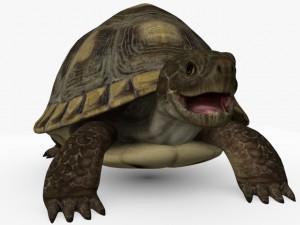 turtle mentos Modèle 3D