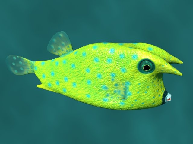 boxfish 3D Модель .c4d .max .obj .3ds .fbx .stl .blend 