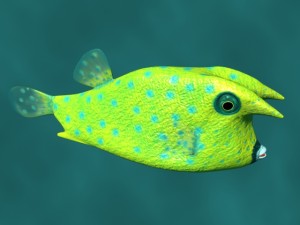 boxfish Modelo 3D