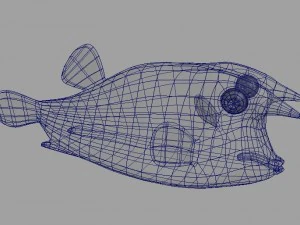 boxfish 3D Model