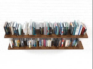 100 books Model 3D
