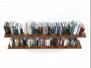 100 libros Modelo 3D