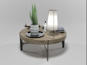 decorative set with natuzzi coffeetable 1504 3D Model