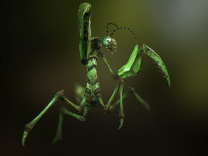praying mantis 3D Model