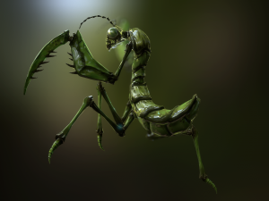 praying mantis 3D Model