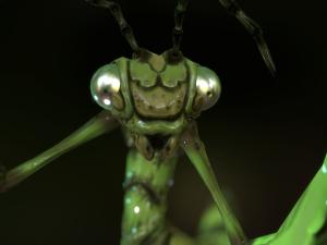 praying mantis 3D Model