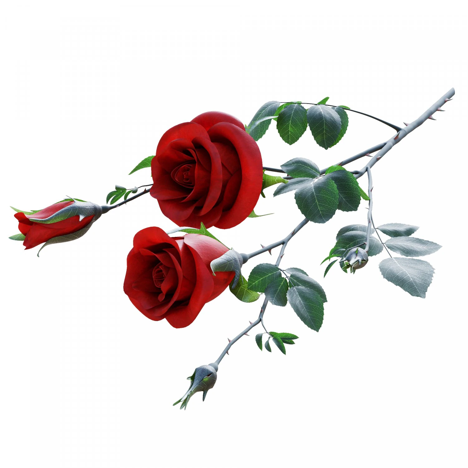 rose branch 3D Model .c4d .max .obj .3ds .fbx .stl .blend 