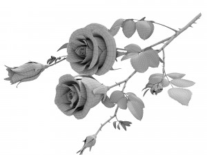 rose branch Modelo 3D