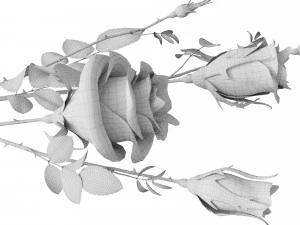 rose branch 3D Model
