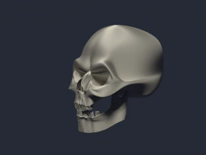 zła czaszka Model 3D