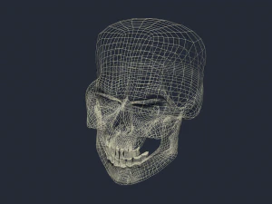 zła czaszka Model 3D