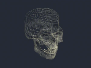 zła czaszka Model 3D