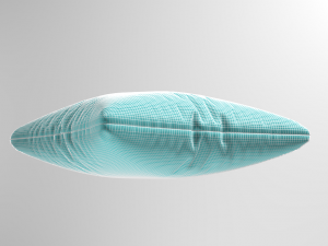 pillows 3D Model