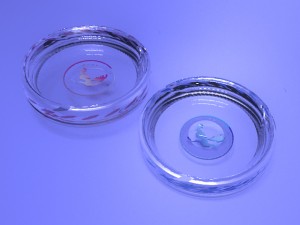 twisted glass ashtray v1 3D Model