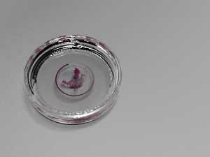 twisted glass ashtray v1 3D Model