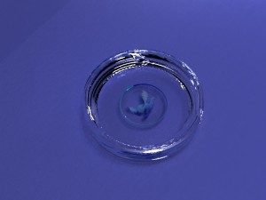 twisted glass ashtray v1 3D Model