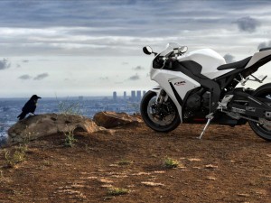 honda cbr 1000 rr 2016 3D 模型