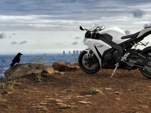honda cbr 1000 rr 2016 3D Model