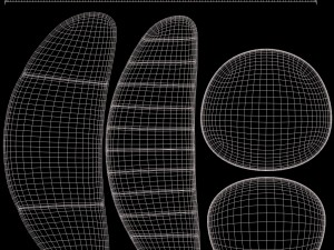 tonella chair Modelo 3D