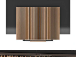 Bang and Olufsen Beovision Harmony 3D Model