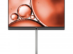 Loewe Bild 243 3D Model