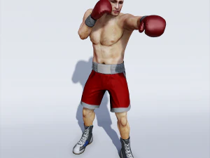 profesyonel boks&ouml;r 3D Model