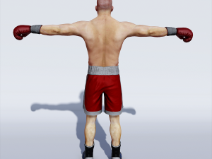 professional boxer 3D 모델