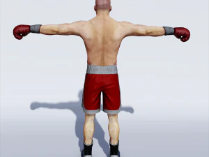 professional boxer 3D Model