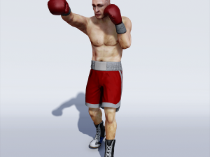 professional boxer 3D 모델