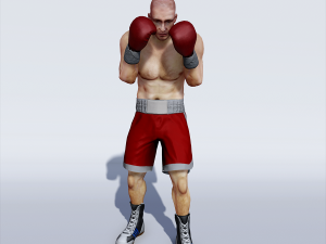 professional boxer 3D 모델