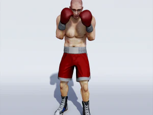 professional boxer 3D Model