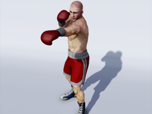 professional boxer 3D 모델