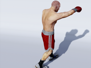 professional boxer 3D 모델