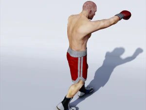 professional boxer 3D Model
