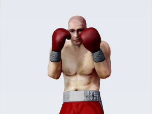 professional boxer 3D Model