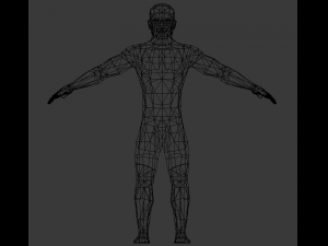 low poly male base mesh rigged 3D Model