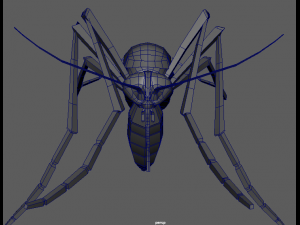 aedes aegypti mosquito 3D 모델