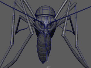 aedes aegypti mosquito 3D 모델