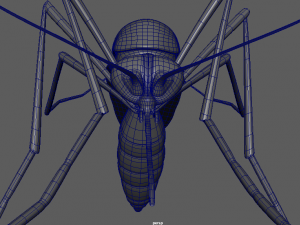 aedes aegypti mosquito 3D 모델