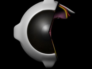 eye anatomy 3D 模型