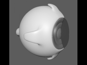 eye anatomy 3D 模型