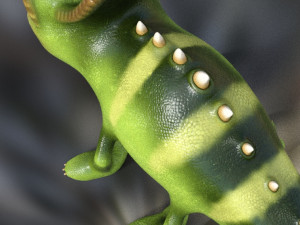 chameleon model 3d 3D Модель