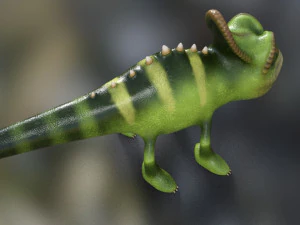 chameleon model 3d 3D Model