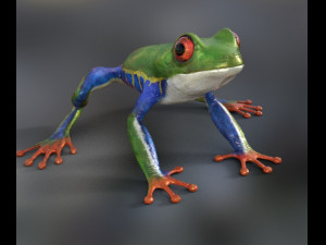 frog Modelo 3D