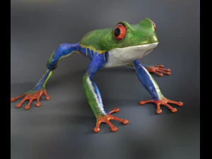 katak Model 3D